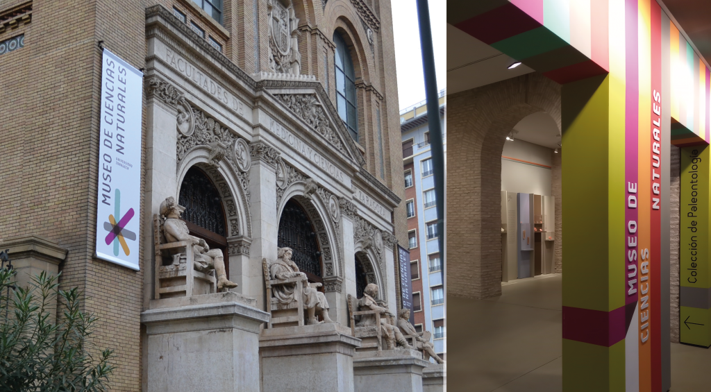 Museo de Ciencias Naturales de la Universidad de Zaragoza (MCNUZ)
