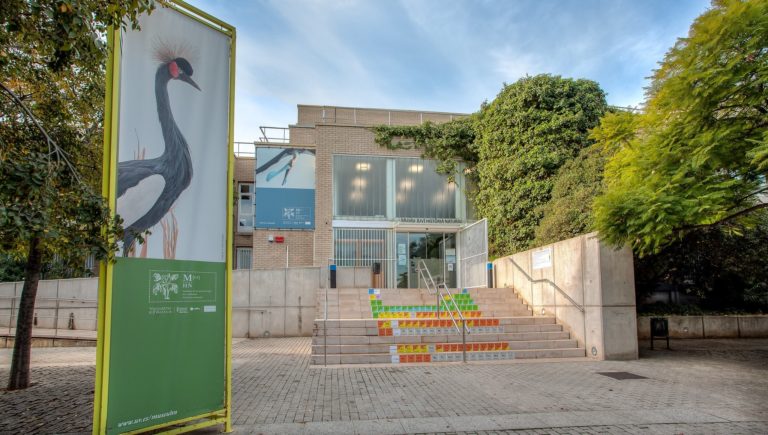 Museo de la Universitat de València de Història Natural